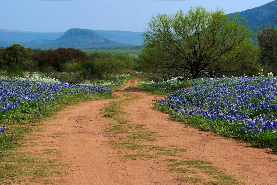 Springtime in the Texas Hill Country Taken in the Texas Hi… Flickr