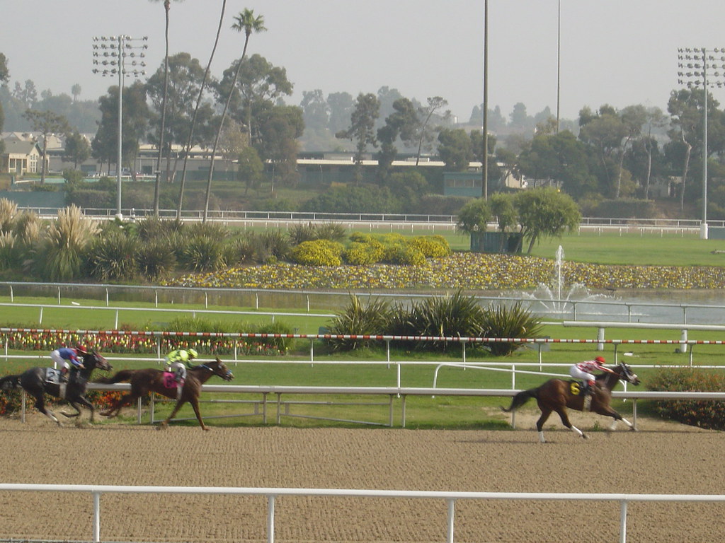 Hollywood Race Track jadeshue Flickr