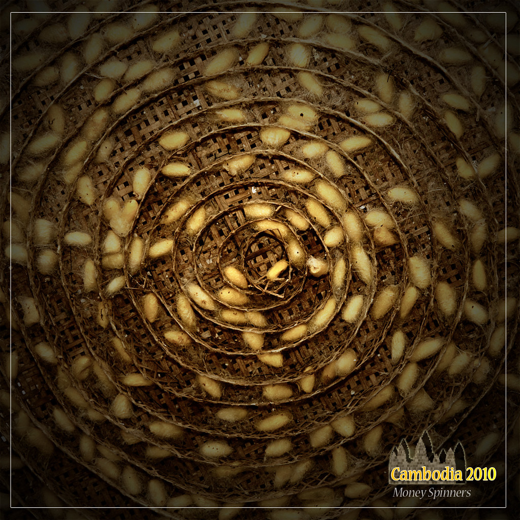 Money Spinners © All rights reserved tortise78 Flickr