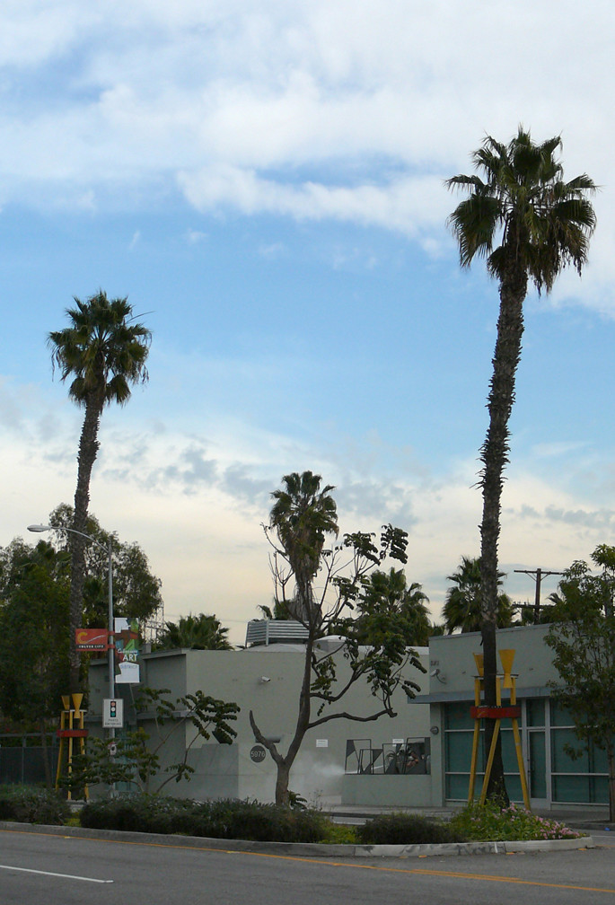 Culver City Palms Along Washington Blvd. in Culver City, L… Anna