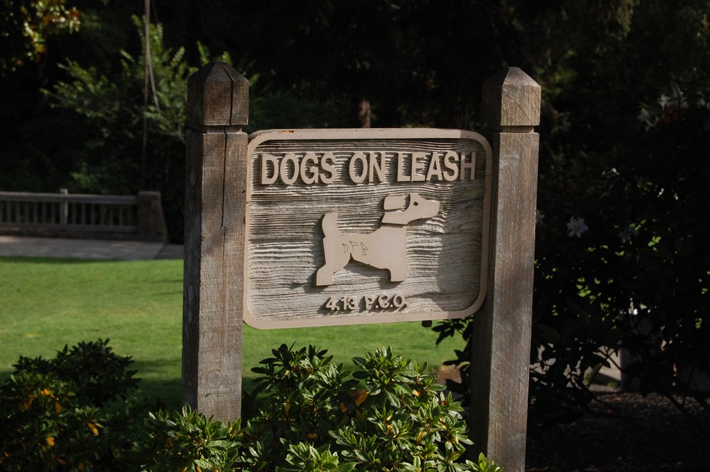 Leash Laws Keep dogs on leashes. Brian Imagawa Flickr