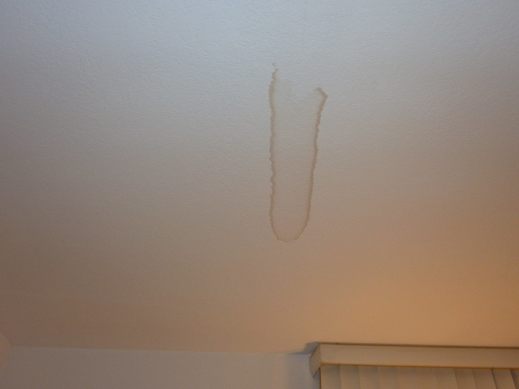 Apartment Mold 006 Mold on ceiling of bedroom cbhatia117 Flickr