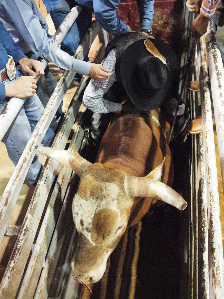 Hitchcock Texas Galveston County Fair Rodeo Fairgrounds NP… Flickr