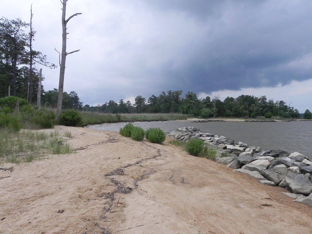 Blacks Point Jamestown island, looking towards the thoroug… Flickr