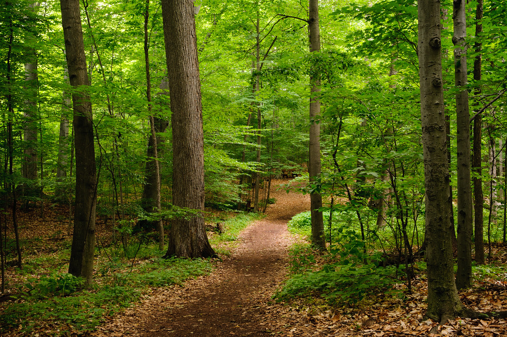 Elevation of Johnson Rd, Palmyra, NY, USA Topographic Map Altitude Map
