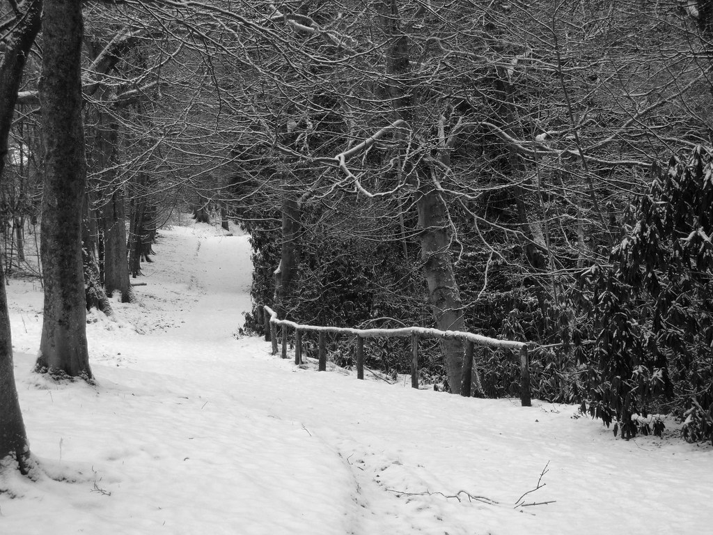 DSCF2046 glen park junebug120271 Flickr