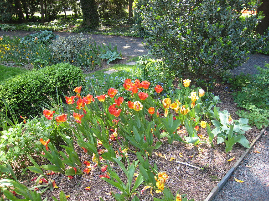 Princeton University gardens at Prospect House Saturday1 Flickr