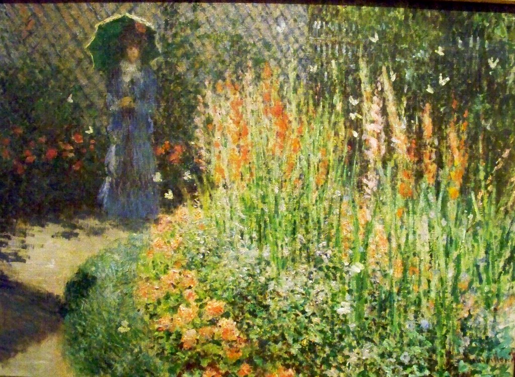 Gladioli Jess Flickr