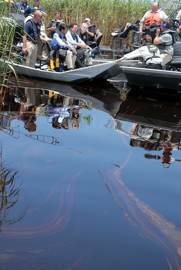 Oil Impacts PAL, May 19, 2010 Thick oil pools in the water… Flickr