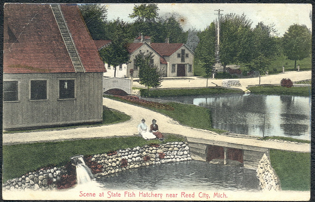 Reed City MI Rearing Ponds Hatchery Buildings 1911 MW Brow… Flickr