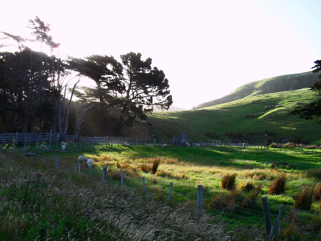 SDC13586 Okia Flats Pyramids walk, Otago Peninsula Mr Thinktank