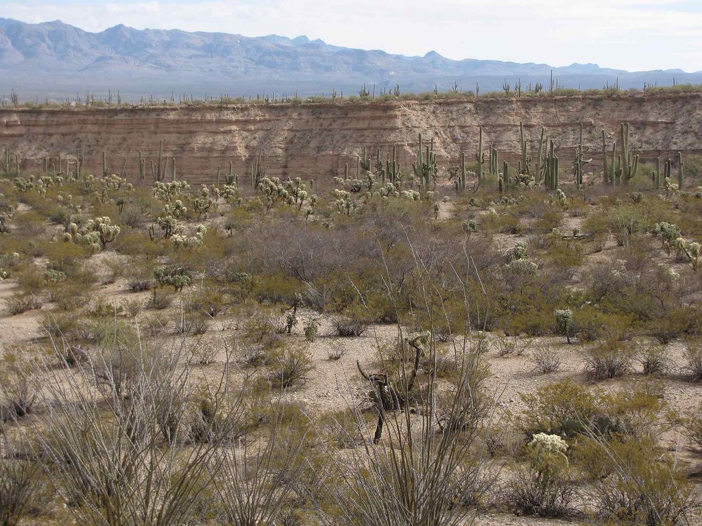 Alder Wash, SE of San Manuel, AZ Alder Wash, SE of San Man… Flickr