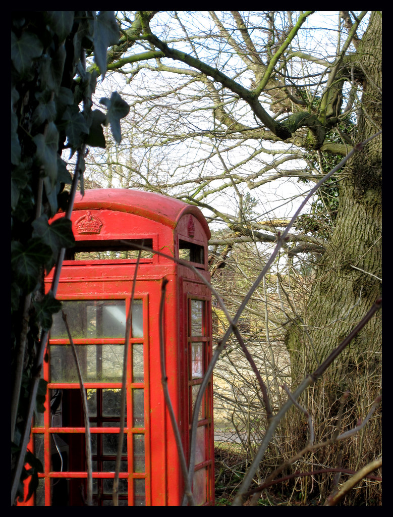 Peeking out The red phone box in Chilton is nestled betwee… Flickr