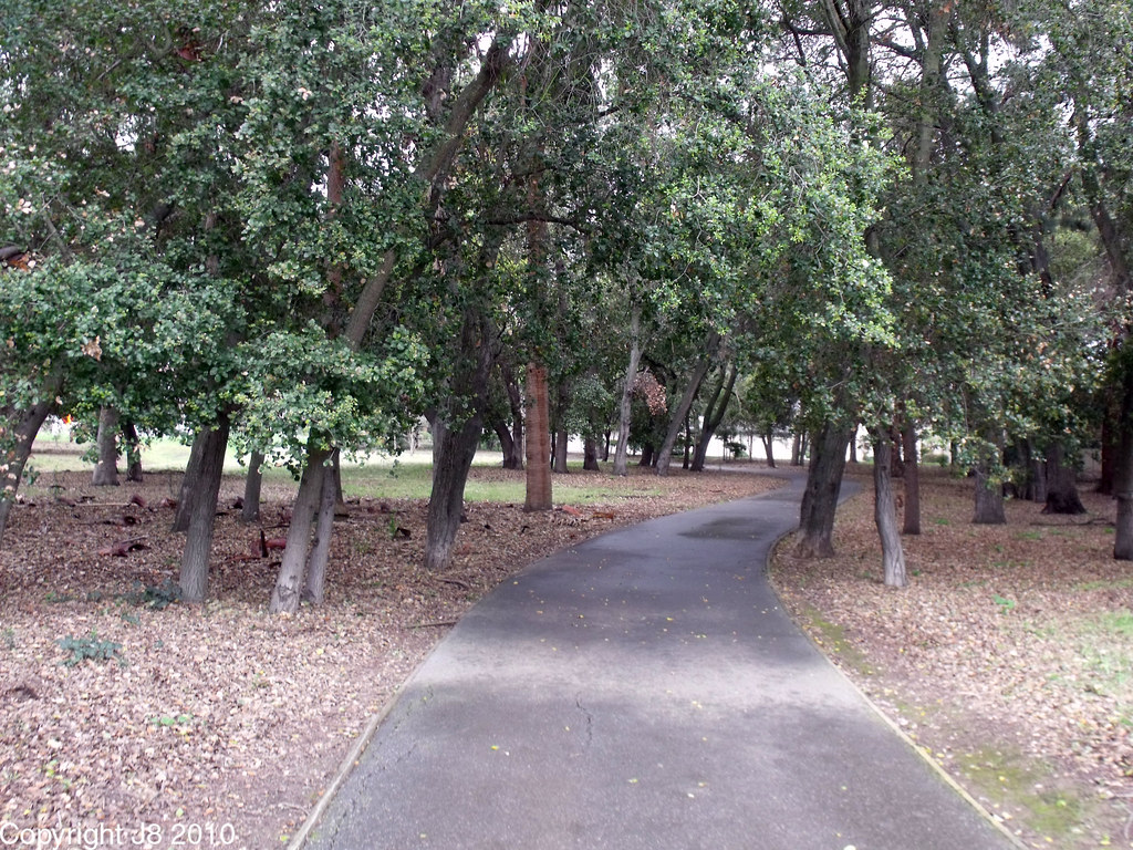 Edenvale Garden Park San Jose, CA All the trees, well most… Flickr