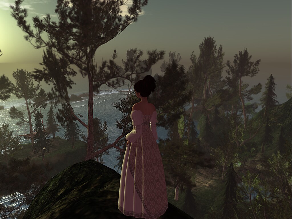 Harmony Vista View On Black Acacia Merlin Flickr