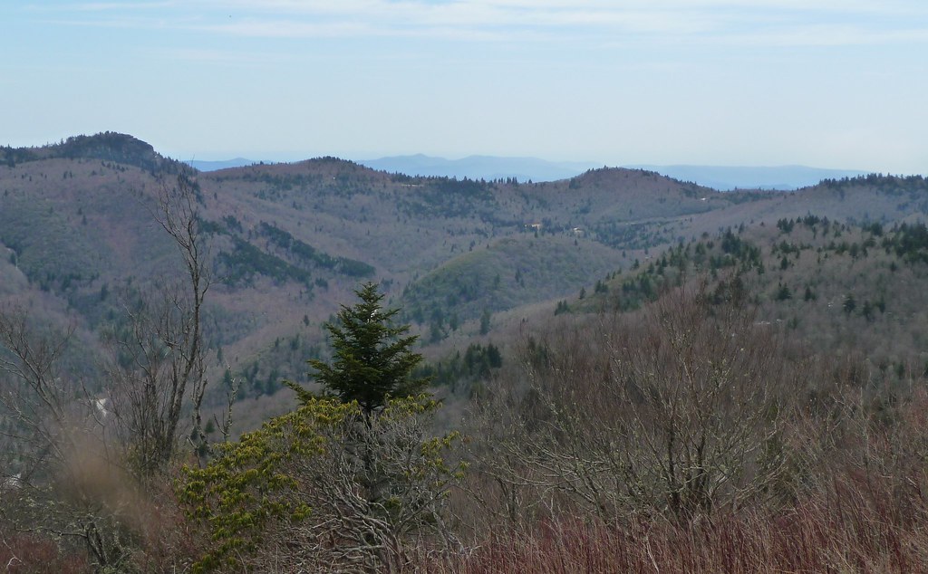 View from the top of Green Knob Green Knob, elevation 5,90… Flickr