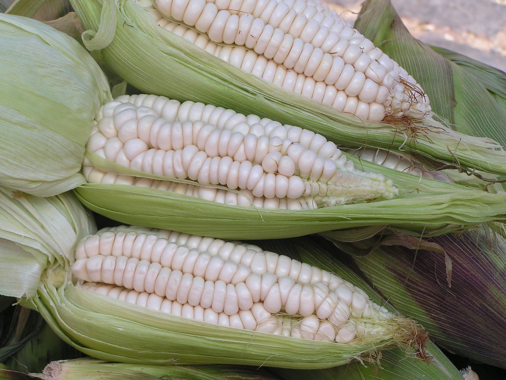 Corn in La Paz markets Corn or maize in fruit and vegtable… Flickr