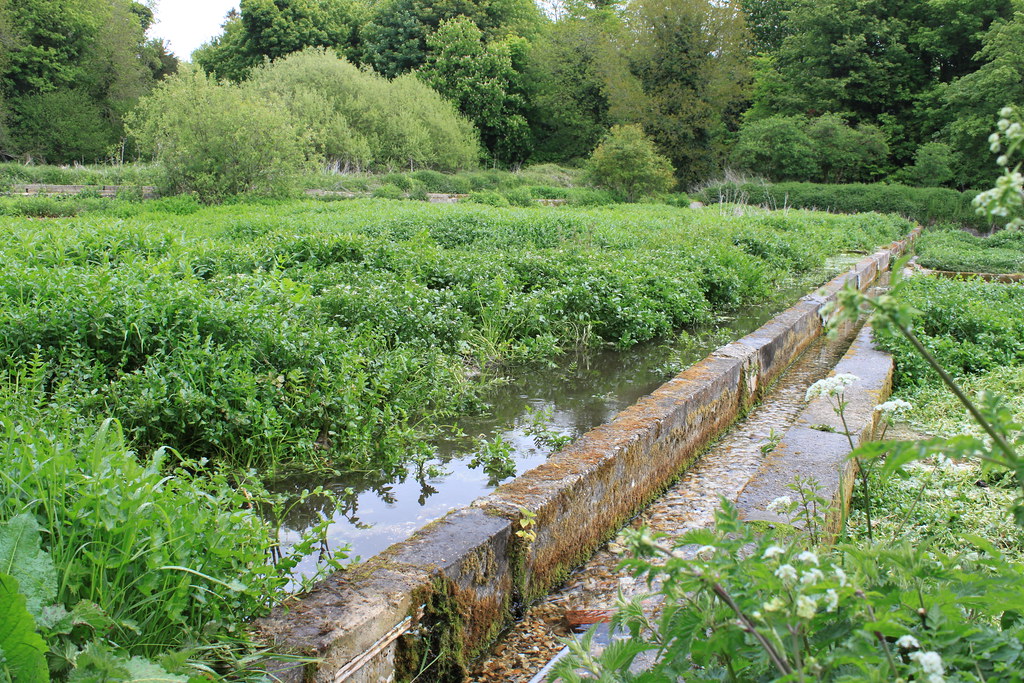 Old watercress beds in Alresford Alresford Watercress Fest… Flickr