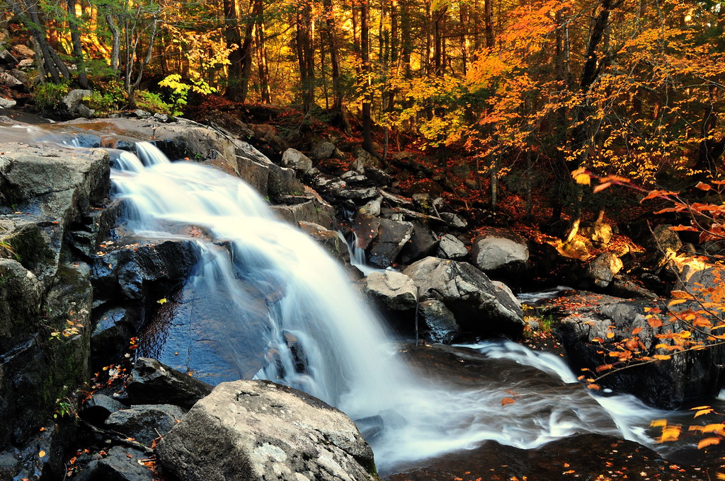Elevation of Sherwood Drive, Sherwood Dr, Becket, MA, USA Topographic
