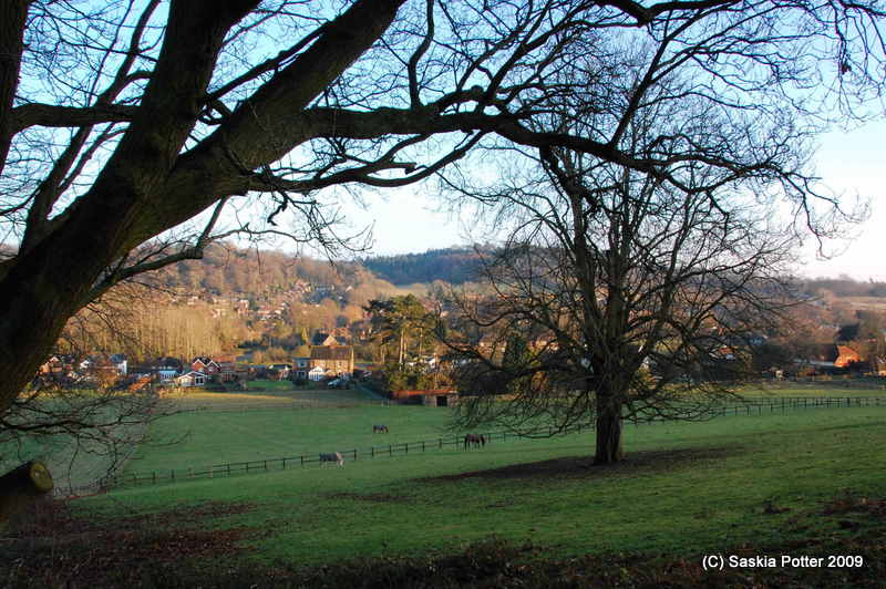 Chinthurst Hill Flickr