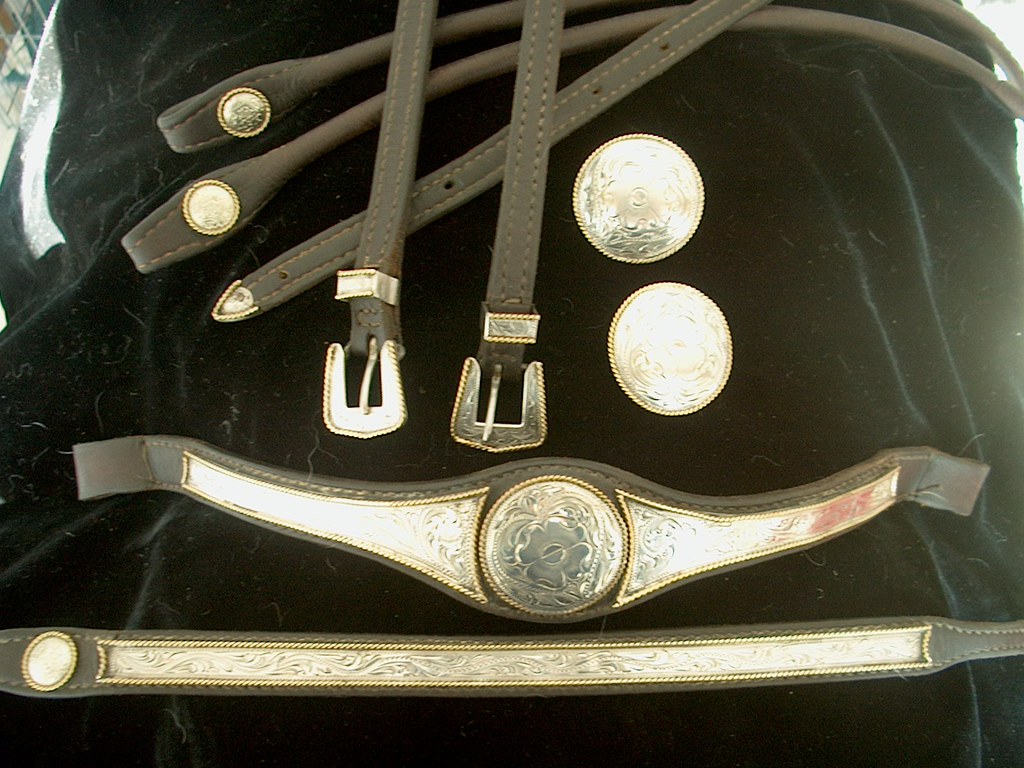 Victor Quality Headstall and Reins 014 draftcrosshorses Flickr