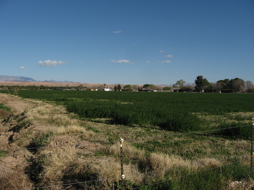 Logandale, Nevada (2) Logandale is an unincorporated town … Flickr