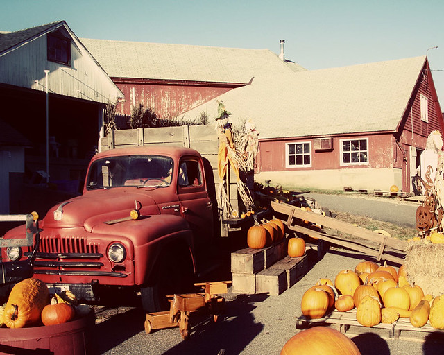 Farm Sale Hogan's Cider Mill, Burlington, CT bbcamericangirl Flickr