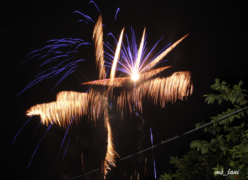 Fireworks 2010! Maryland Sara Flickr