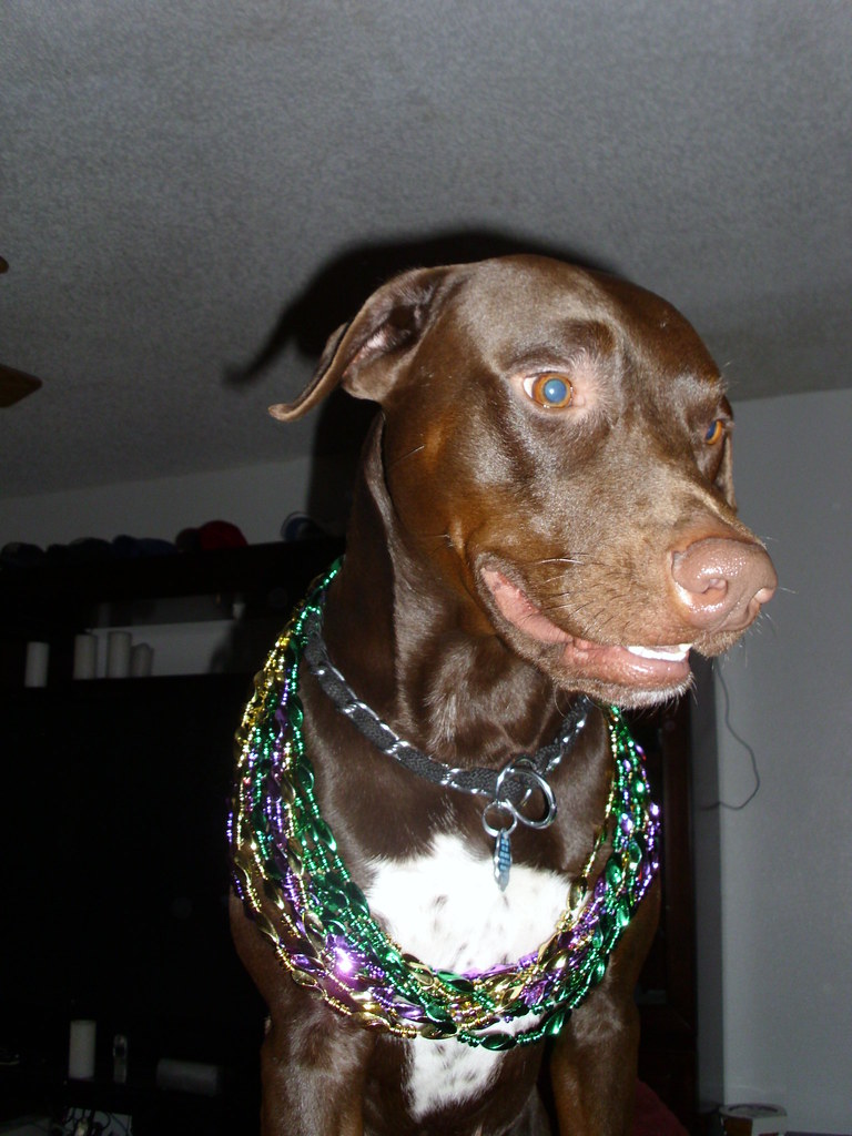 DSCI0261.JPG Eric Babcock Flickr