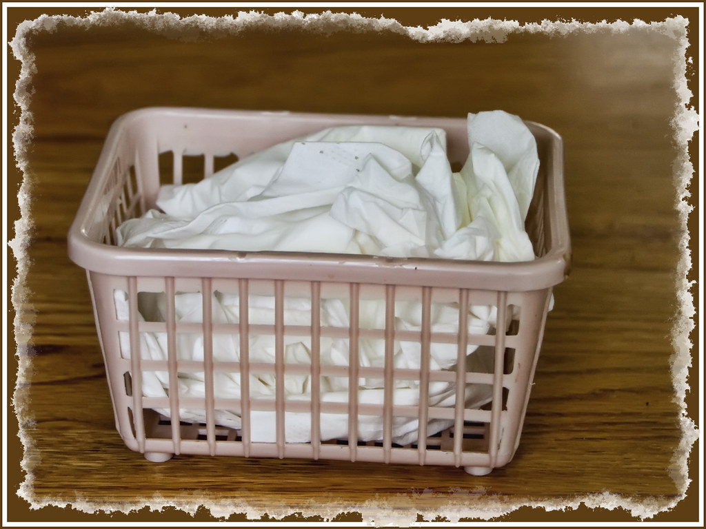 SOMETHING YOU THROW AWAY 3410 The Challenge for Mar 4th … Flickr