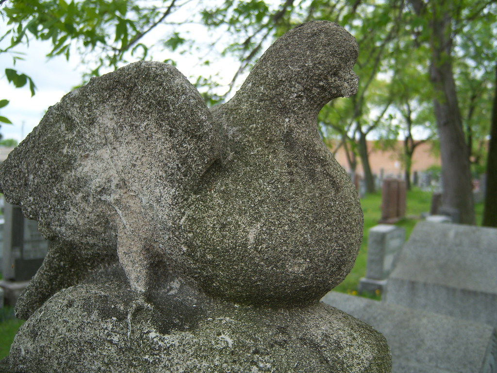 Waldheim Cemetery Forest Park. IL jsutcℓiffe Flickr
