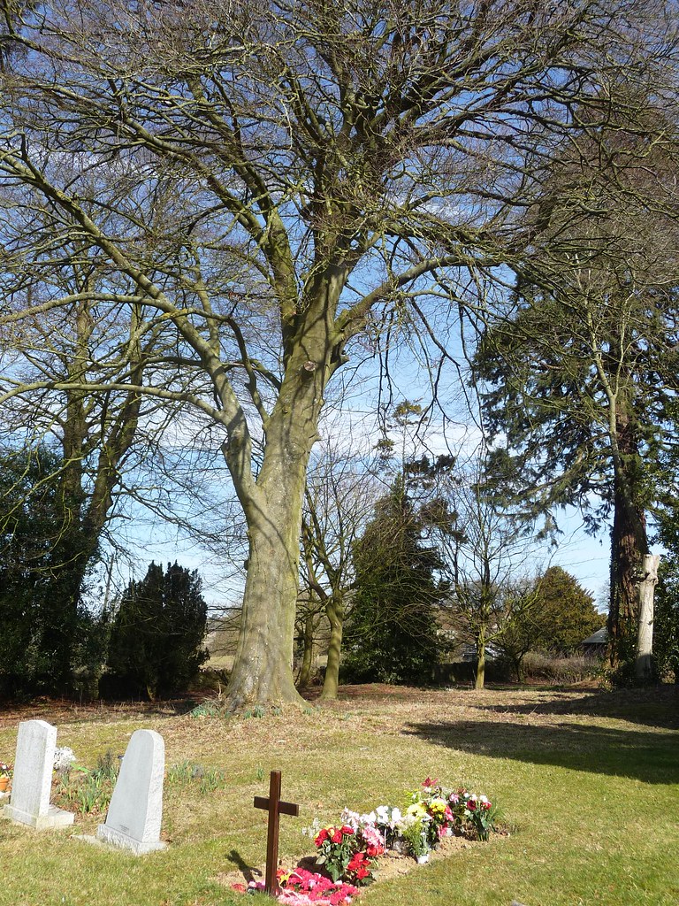 Churchyard, St Adeline's Church, Little Sodbury Robert Flickr