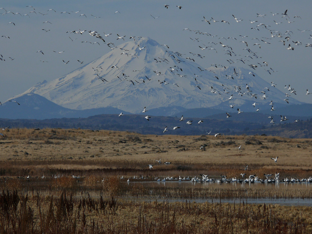 National Wildlife Refuges Flickr