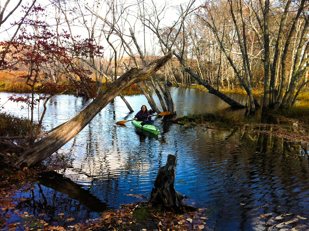 Kayaking on the Ipswich River, MA One of the last kayak ou… Flickr