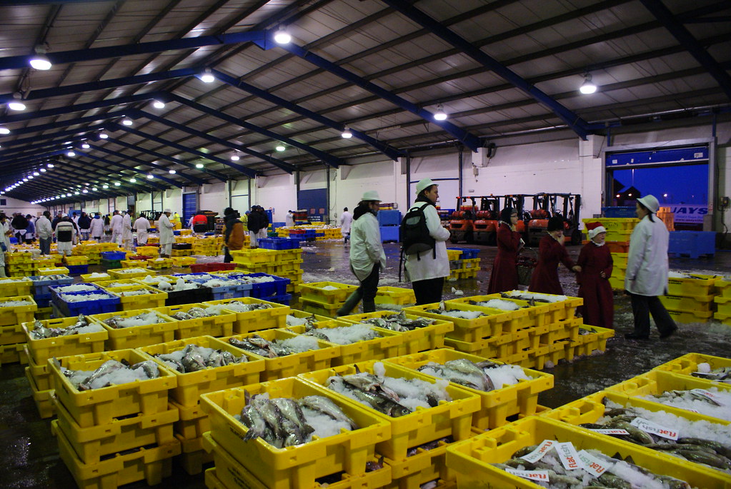 Grimsby Fish Market, UK Matt McNally Flickr