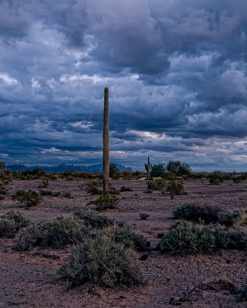 Storm light. Quartzsite, AZ. Sagurro and Kofa Mountains Flickr