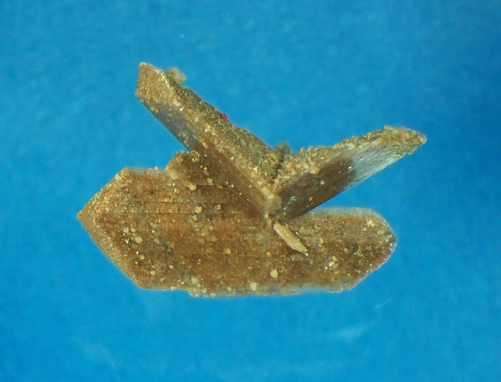 Selenite (Twin) Great Salt Plains, Jet, Alfalfa Co, OK Flickr