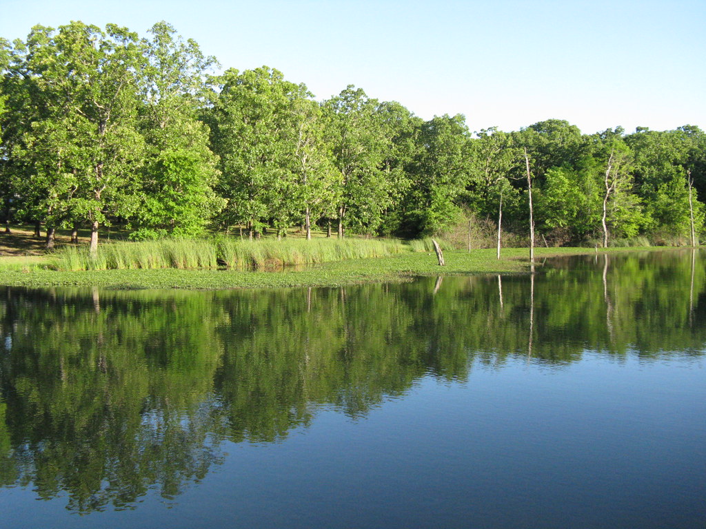 Great fishing spot at Lake Fork Rich M Flickr