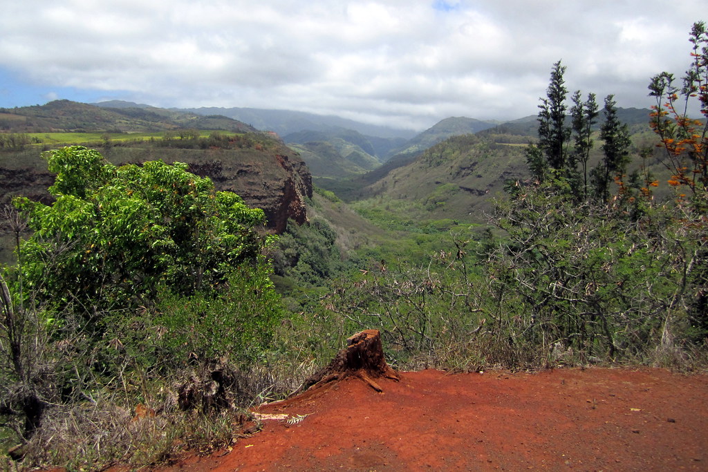 Kaua'i Hanapepe Valley Lookout The Hanapepe Valley Lookou… Flickr