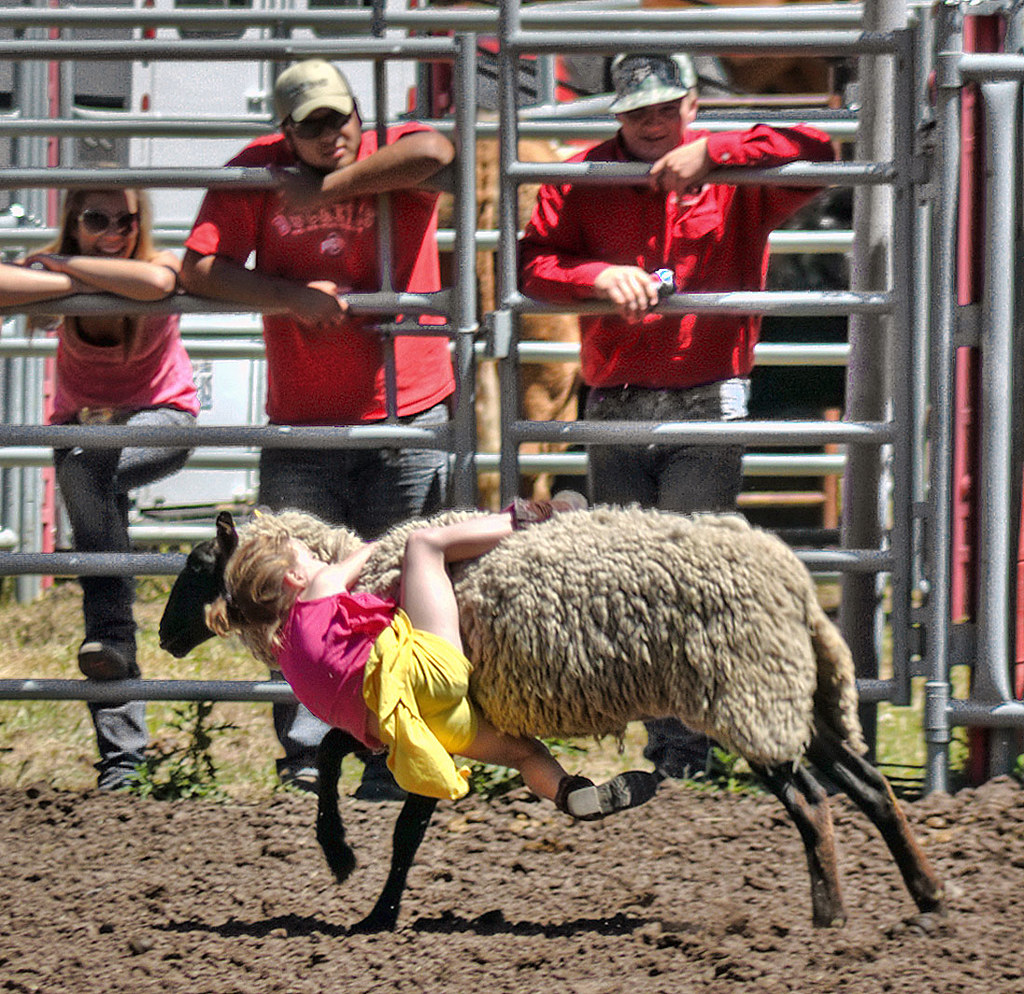 100th Annual Cleveland/Bickleton Rodeo Mutton busting. _MG… Flickr