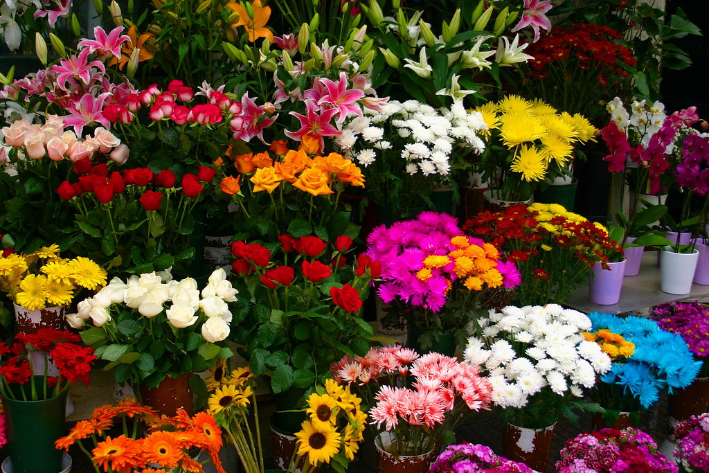 Flower stall, Athens A flower stall in Athens near the Par… Flickr