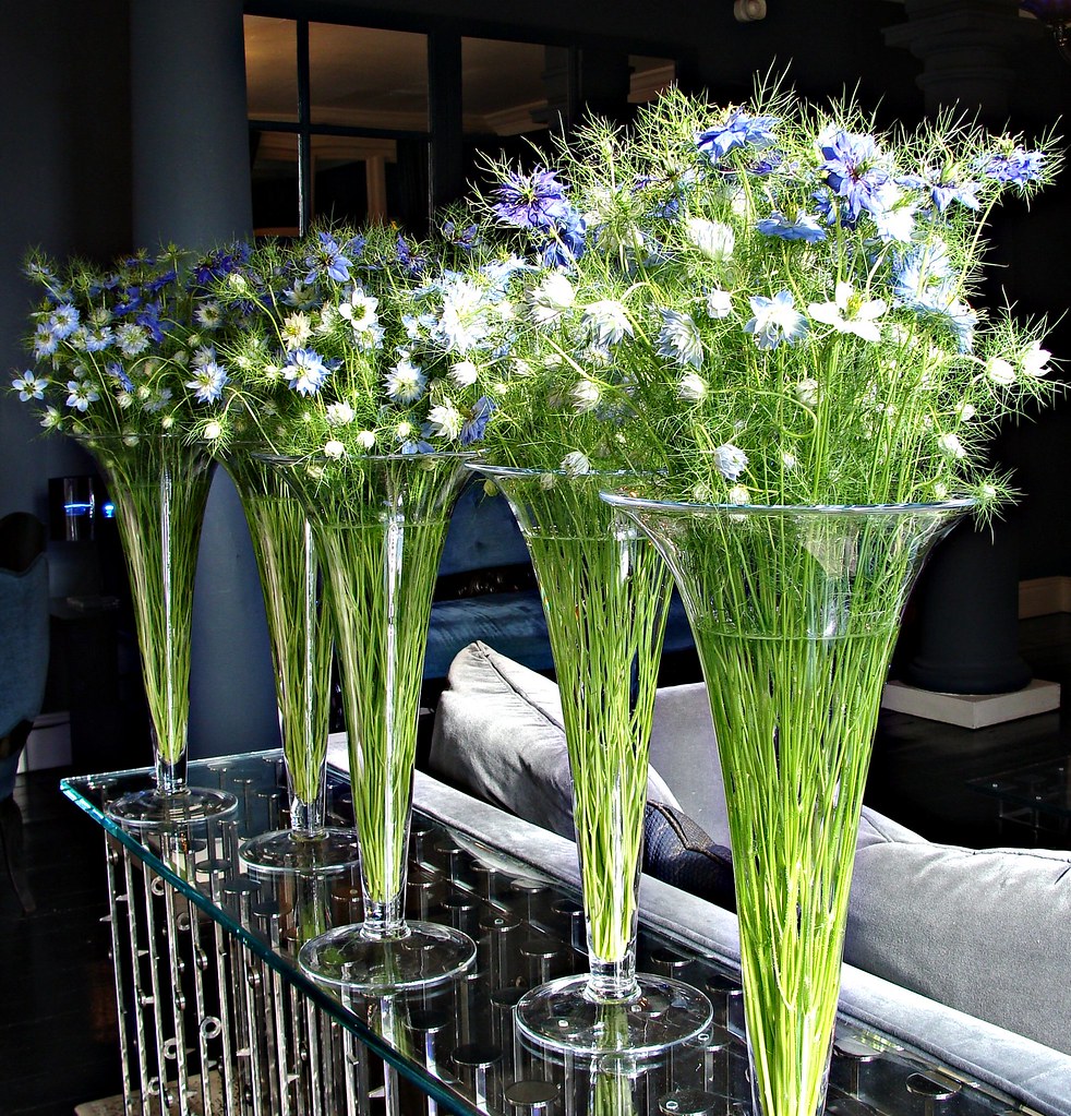 The Grove 28/05/10 I love shortlived summer flowers, even… Flickr