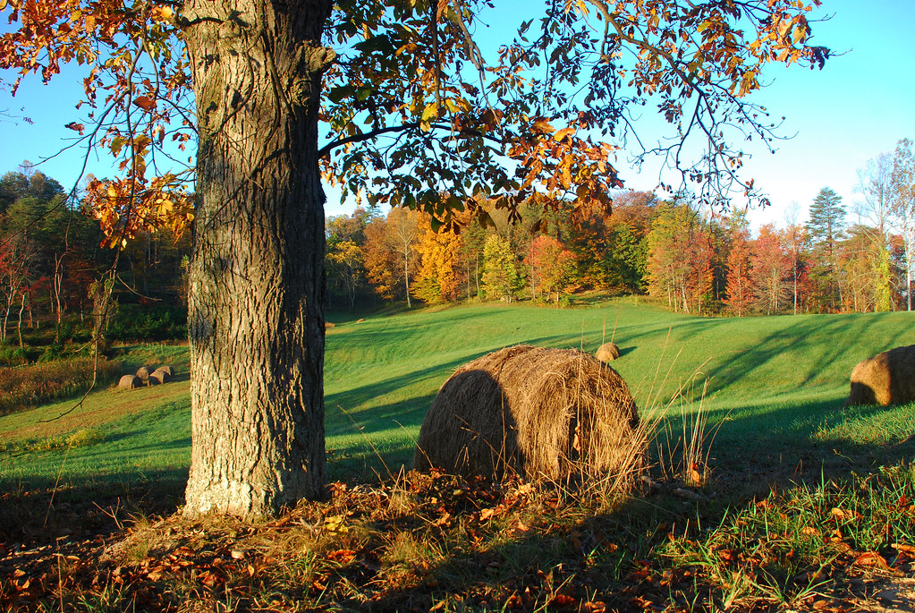 Early Fall Landscape Taken at a friends home near Waverly … Flickr