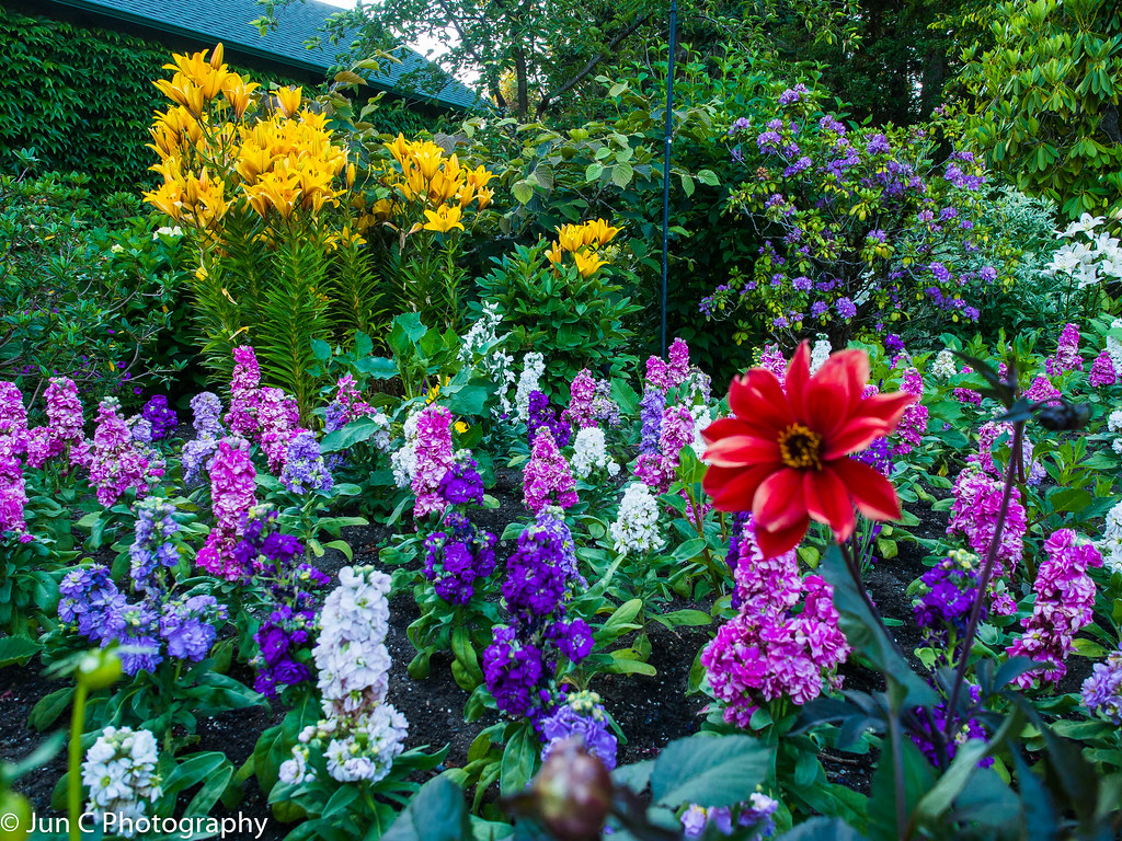 Rose Garden Butchart Gardens, Victoria BC, Canada Jun C Flickr