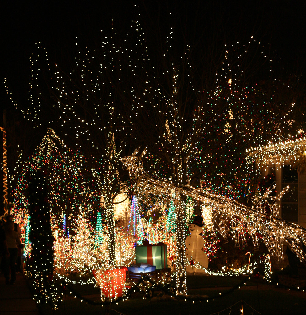 Christmas Lights Christmas lights at night on Eucalyptus S… Flickr