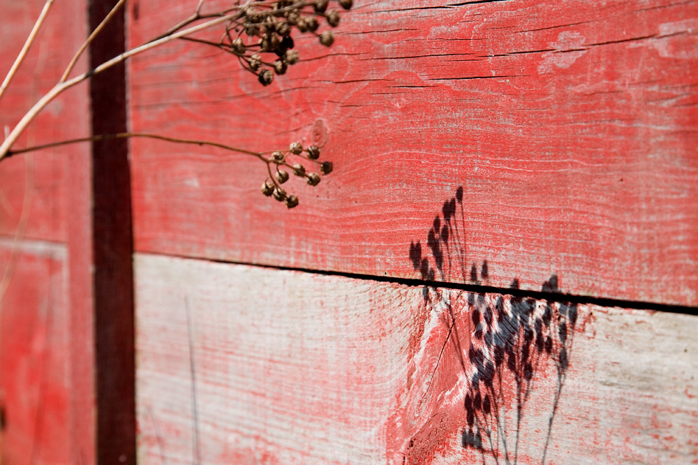 Red Boards Peter Kelly Flickr