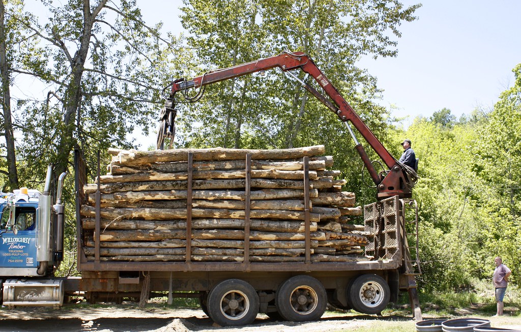 Wood's In (6) We got a truckload of logs for wood this yea… Flickr