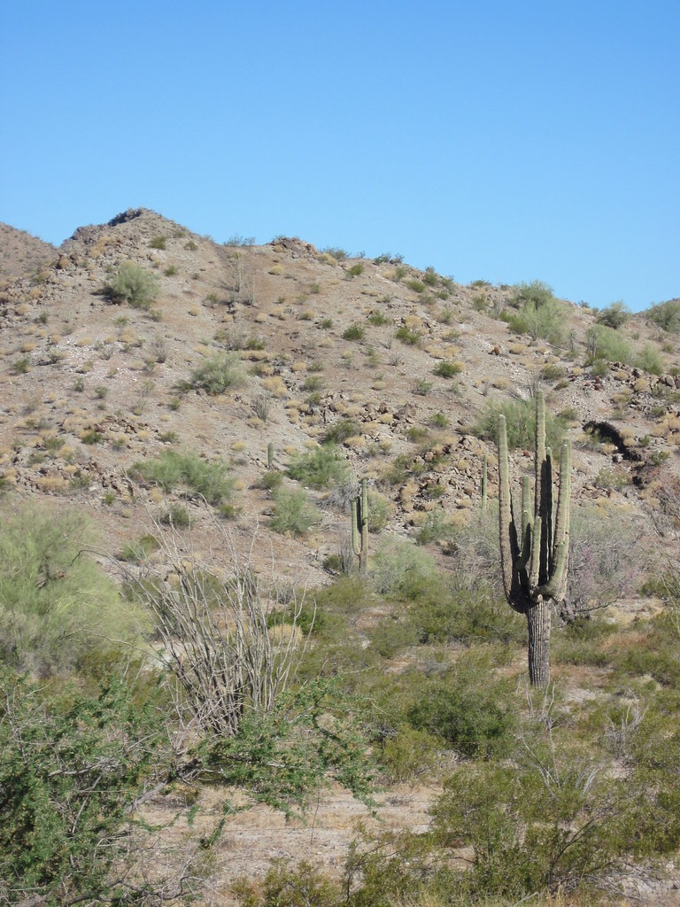 Near Hope, AZ Chris Champion Flickr