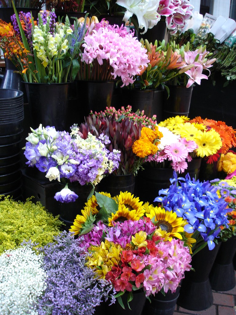 SF Flowers 4917 Flowers at a vendor off of Market St, San … Flickr