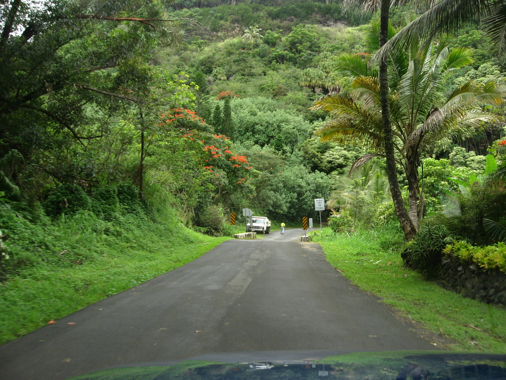 Road from S.R. 19 to Laupahoehoe Point, Hawaii The drive f… Flickr